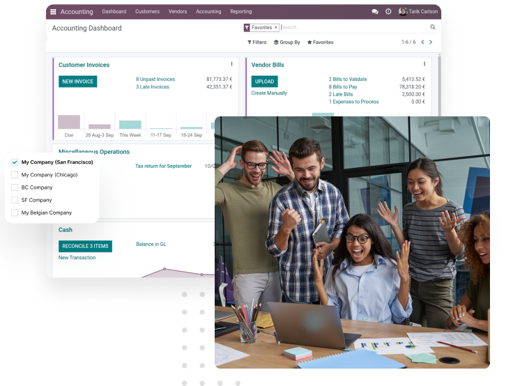 odoo erp services odoo erp services