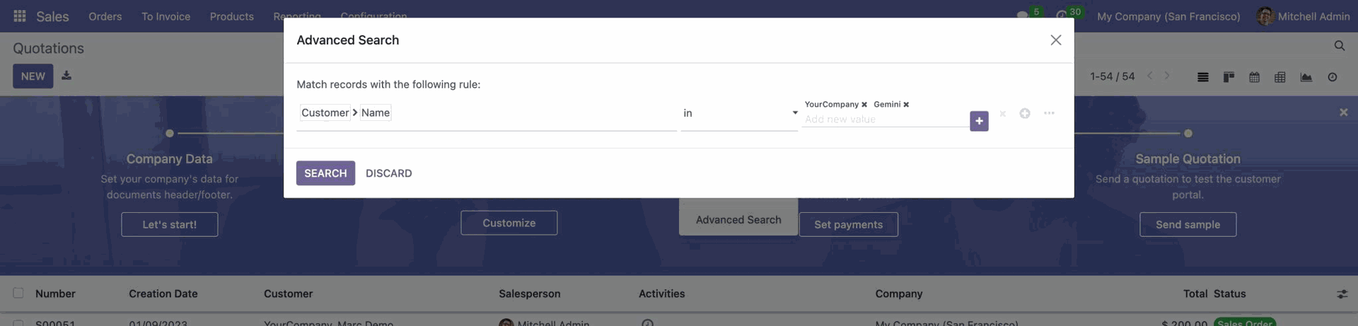 Odoo 17 Advanced Search View